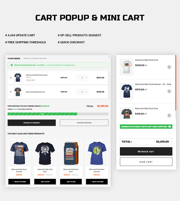 shopify theme