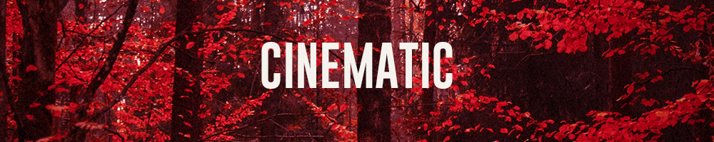 Cinematic