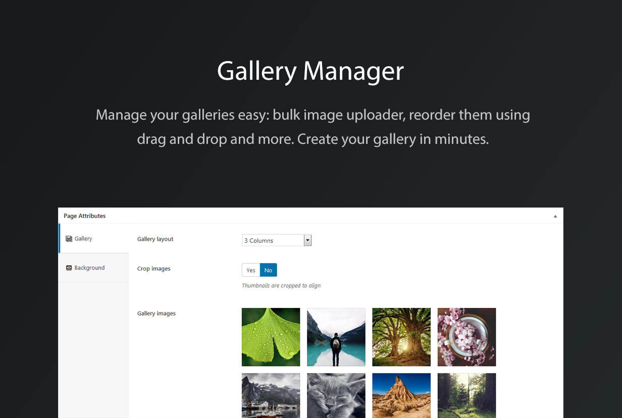 Photolio WordPress Gallery Managament