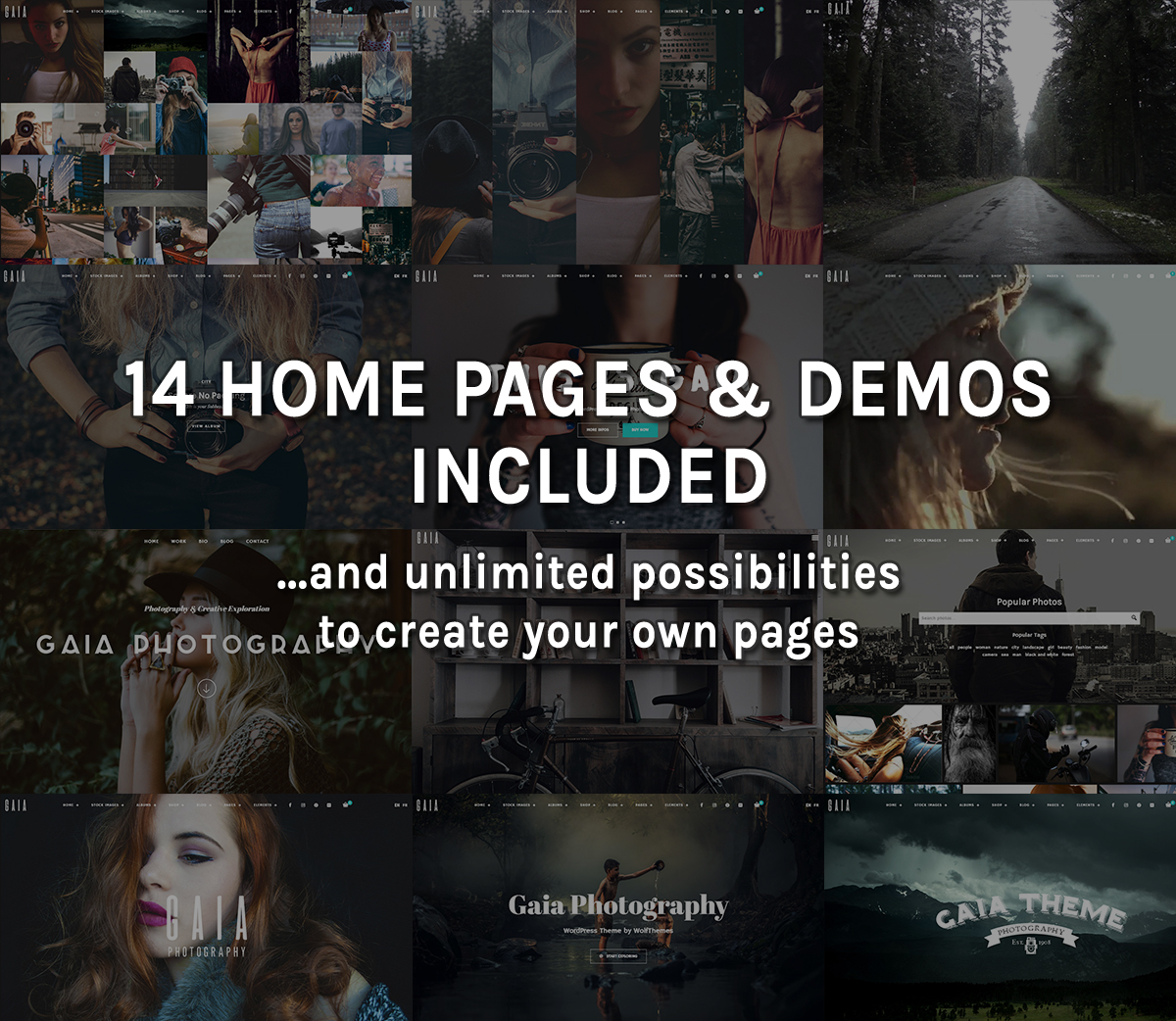 14 Home Pages and Demos Included