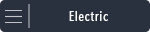 Electric