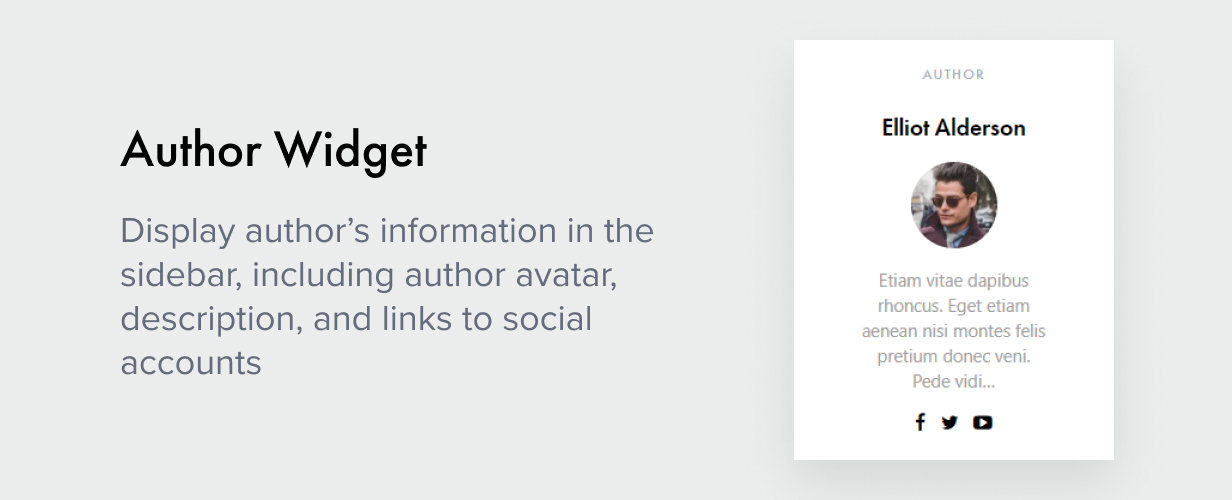 Author Widget