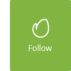 Go Portfolio - WordPress Responsive Portfolio - 4