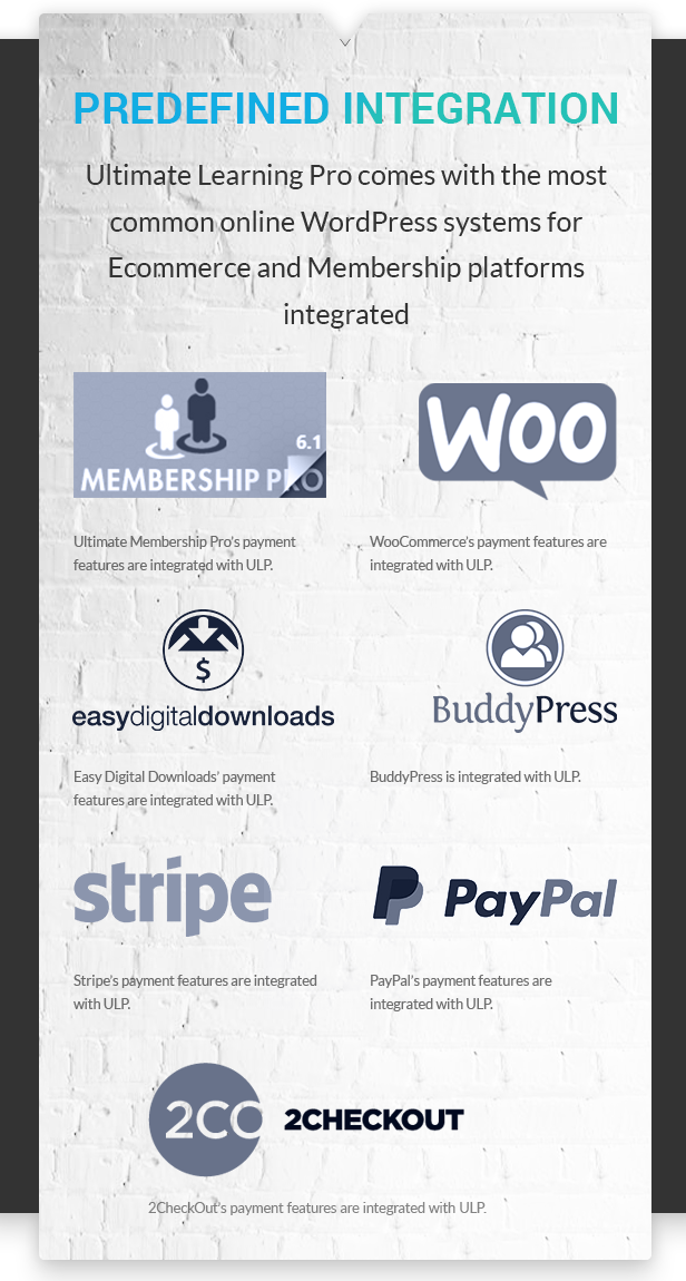 Woocommerce Themes