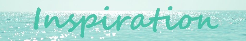 Drive Energy Sport - 8