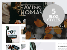 Tipos de blog