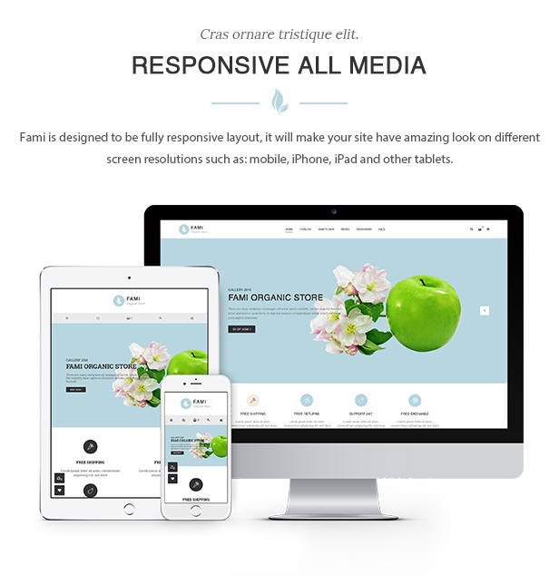 des_01_responsive