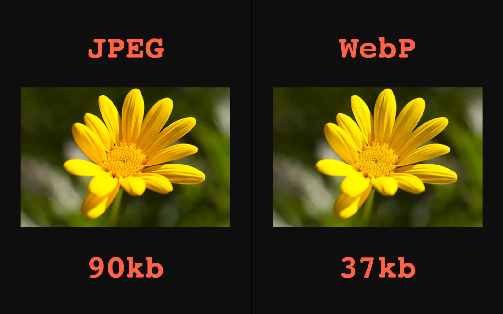 Automatic WebP & Image Compression for WordPress & WooCommerce - 9