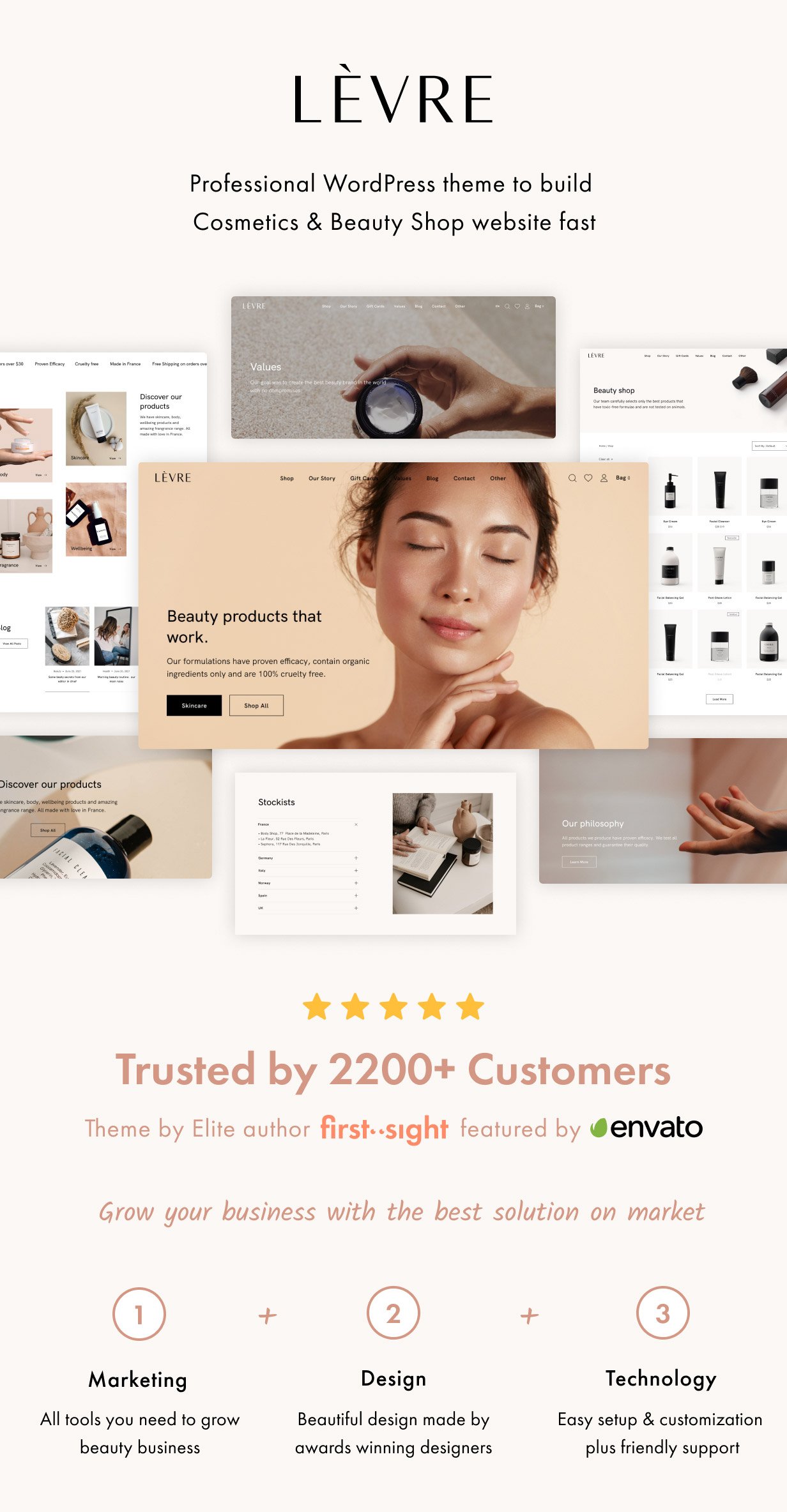 Levre WordPress Theme Presentation Image