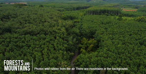  photo preview590x300_zpsz7uwruuw.jpg