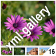 ADVANCED XML IMAGE GALLERY_v16