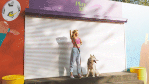 Paper Transitions | Big Pack - 40