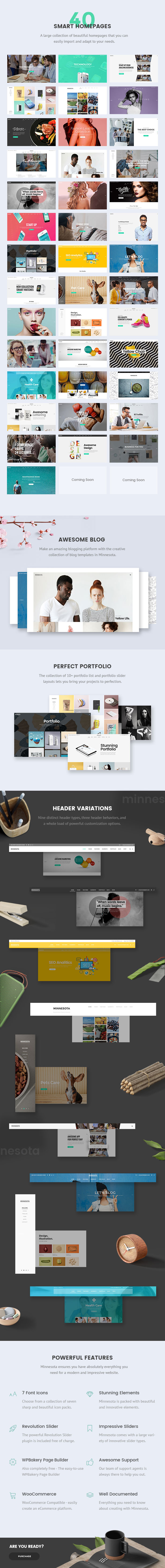 Minnesota - Professional WordPress Theme - 1