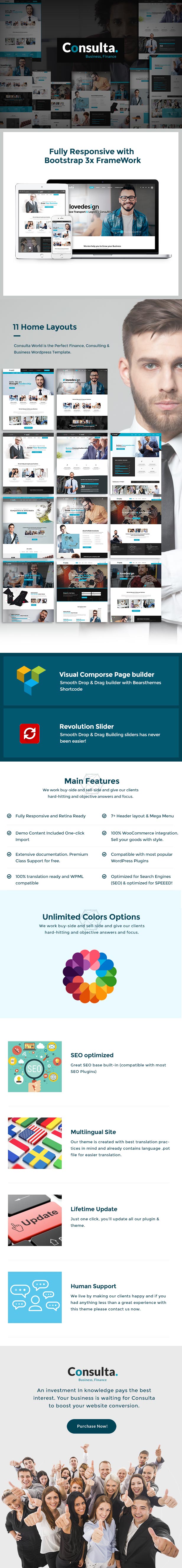 Consulta - Professional Business & Financial WordPress Theme - 3