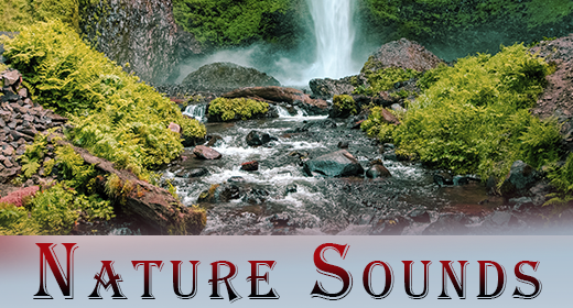 Nature Sounds