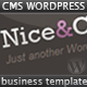 Nice & Clean - Business Wordpress Theme - ThemeForest Item for Sale
