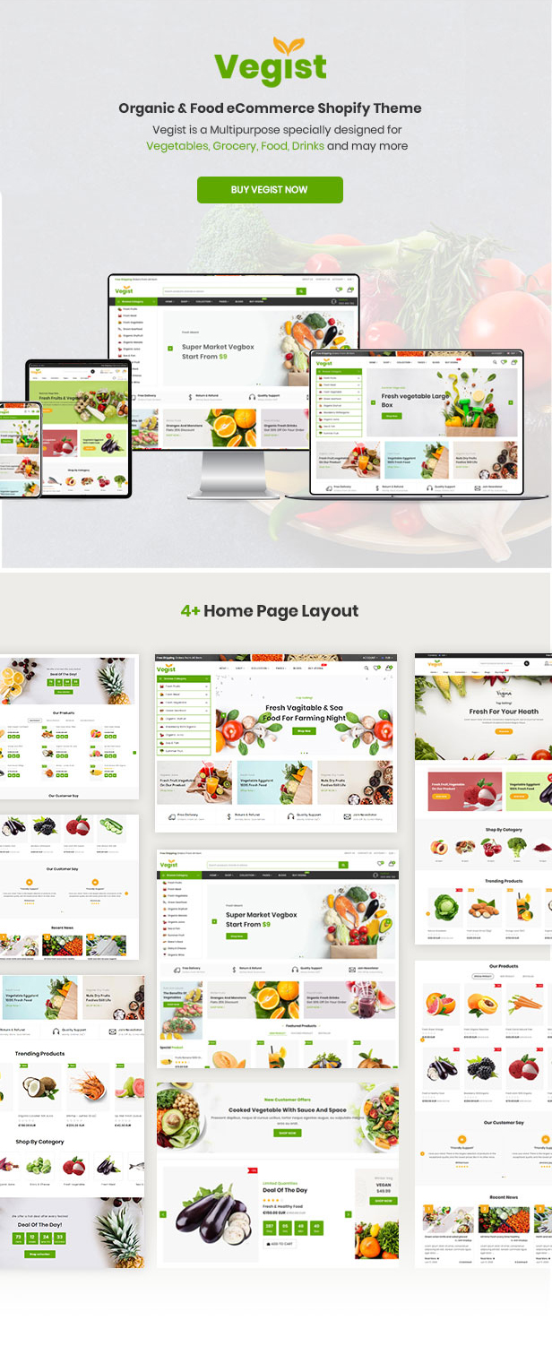 Vegist - The  Vegetables, Supermarket & Organic Food eCommerce Shopify Theme - 8