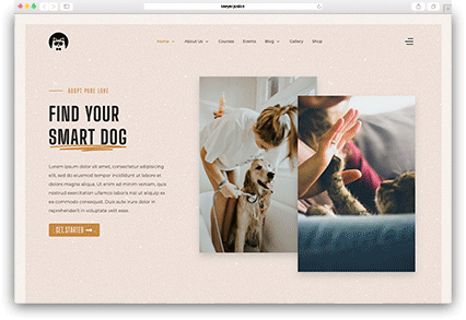 Jollyany | Multi-Purpose Joomla 5 Template