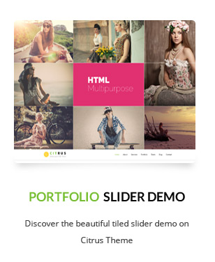 Citrus - One Page WordPress - 5