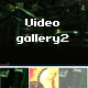 Dynamic flash video gallery 2 