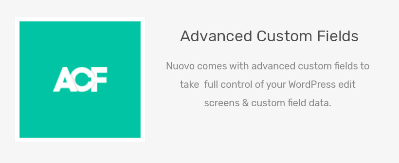 Nuovo - Social Media, Digital Marketing Agency, SEO WordPress Theme - 14