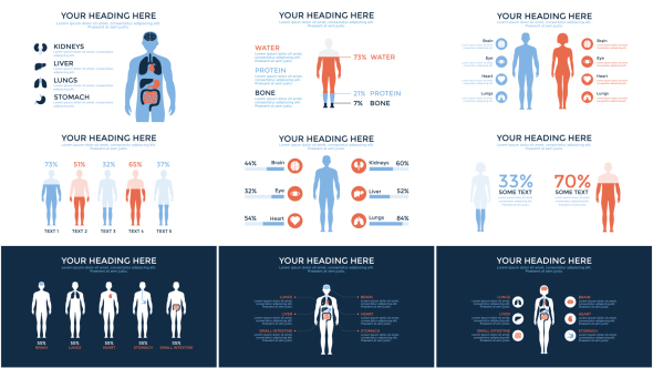 Medical Infographics 19435869 - Free After Effects Templates | VideoHive