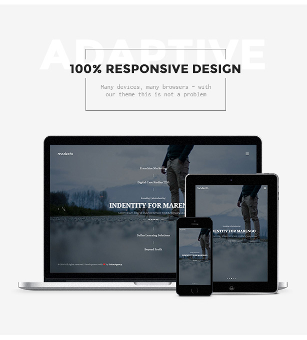 100% Responsive Design