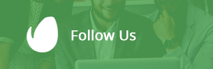 Grassy - Business WordPress Theme 