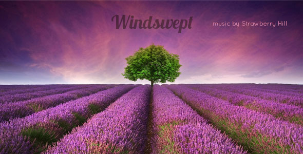 Windswept-banner