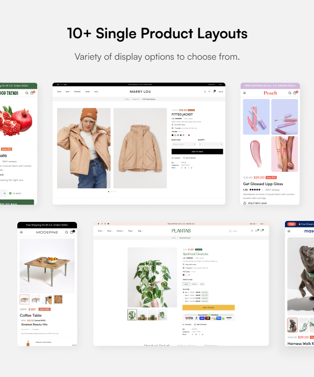 Ecomm - The Powerful WooCommerce Theme - 16