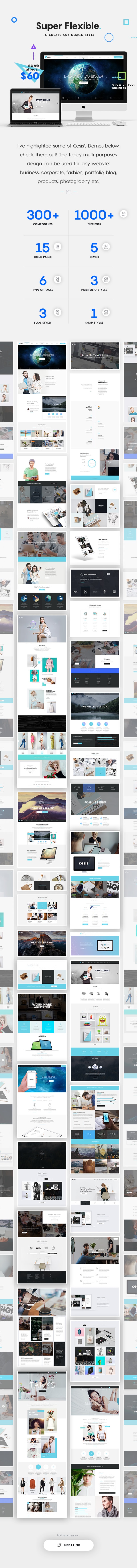 Cesis | The Ultimate Multi-Purpose PSD Template of 2016