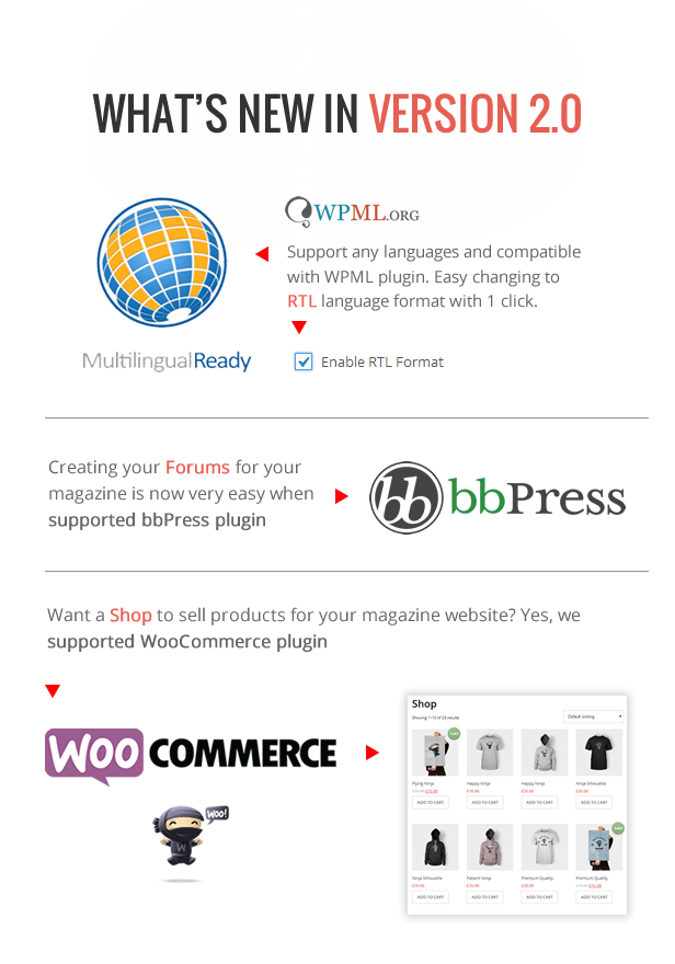 Support WPML WooCommerce bbPress - DeliPress - Magazine and Review WordPress Theme