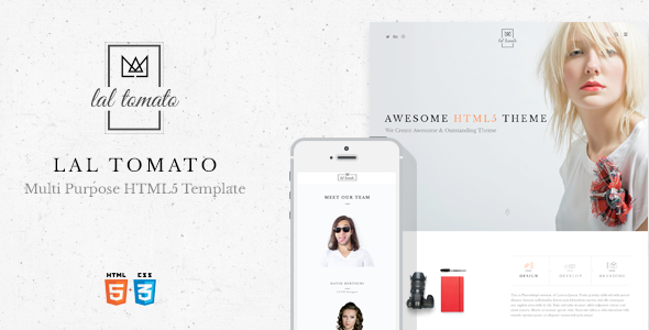 Lal Tomato | Multi-purpose HTML5 Template - Creative Site Templates
