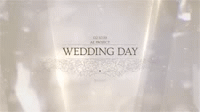 White Wedding Pack After Effects project