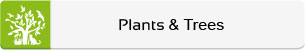 Animals-Nature-Plants-Trees