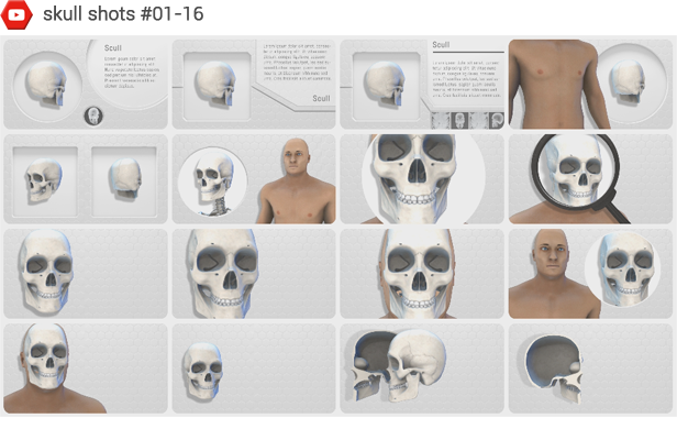 Human Body Anatomy by Masteroff | VideoHive