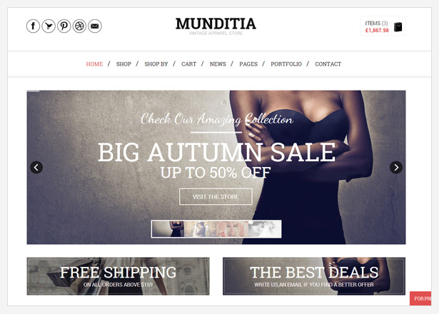 Munditia - Responsive Ecommerce WordPress Theme - 1