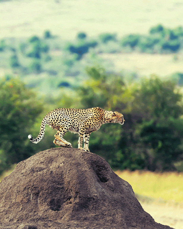 3d Parallax Animated Photoshop Actions