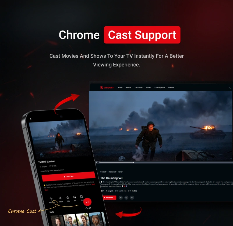 Streamit Laravel - Movie, TV Show, Video Streaming Platform With Laravel with ChatGPT - 16