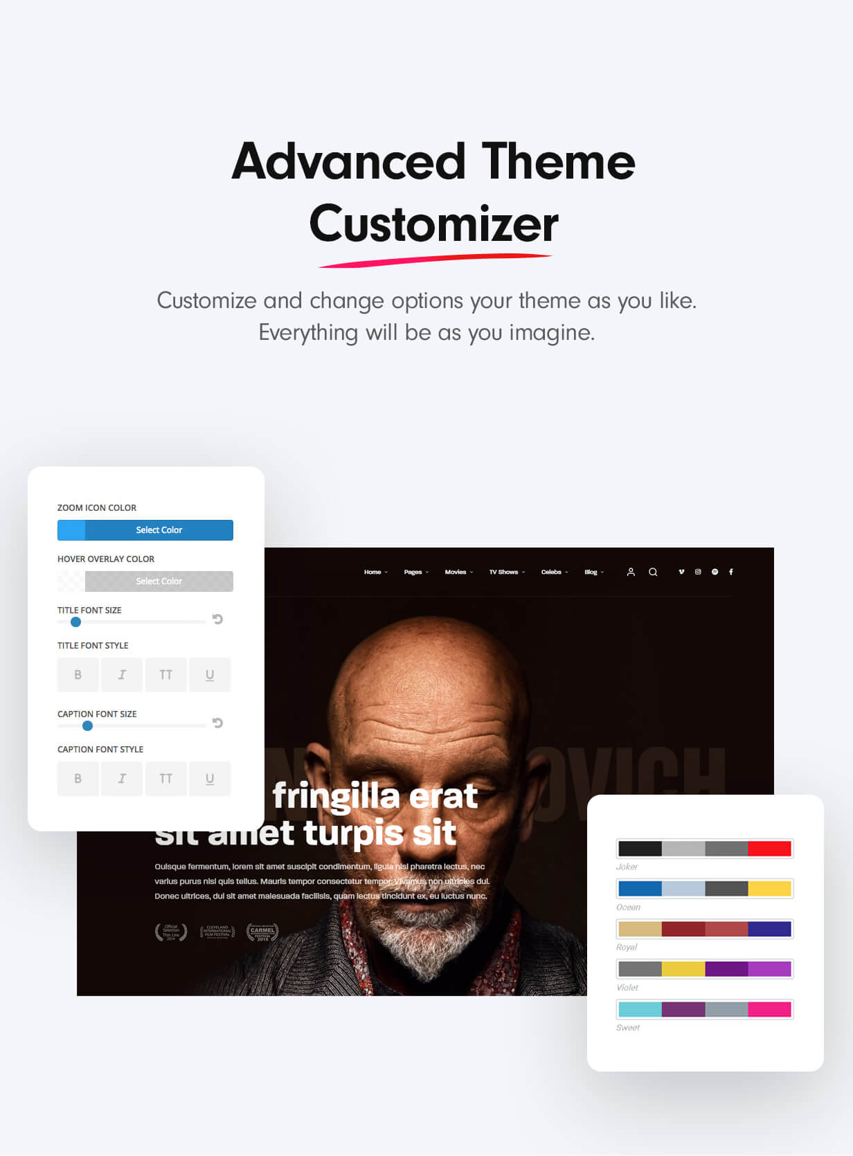 Theme customizer