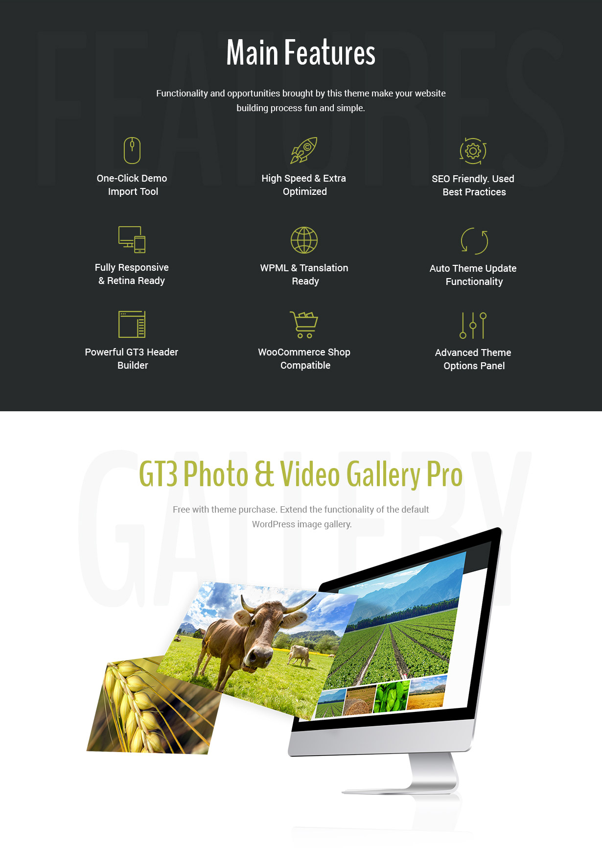 Agrosector - Agriculture & Organic Food WordPress Theme - 4