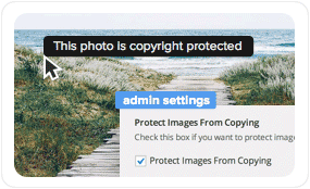 Wordpress theme with photo and image copy protection