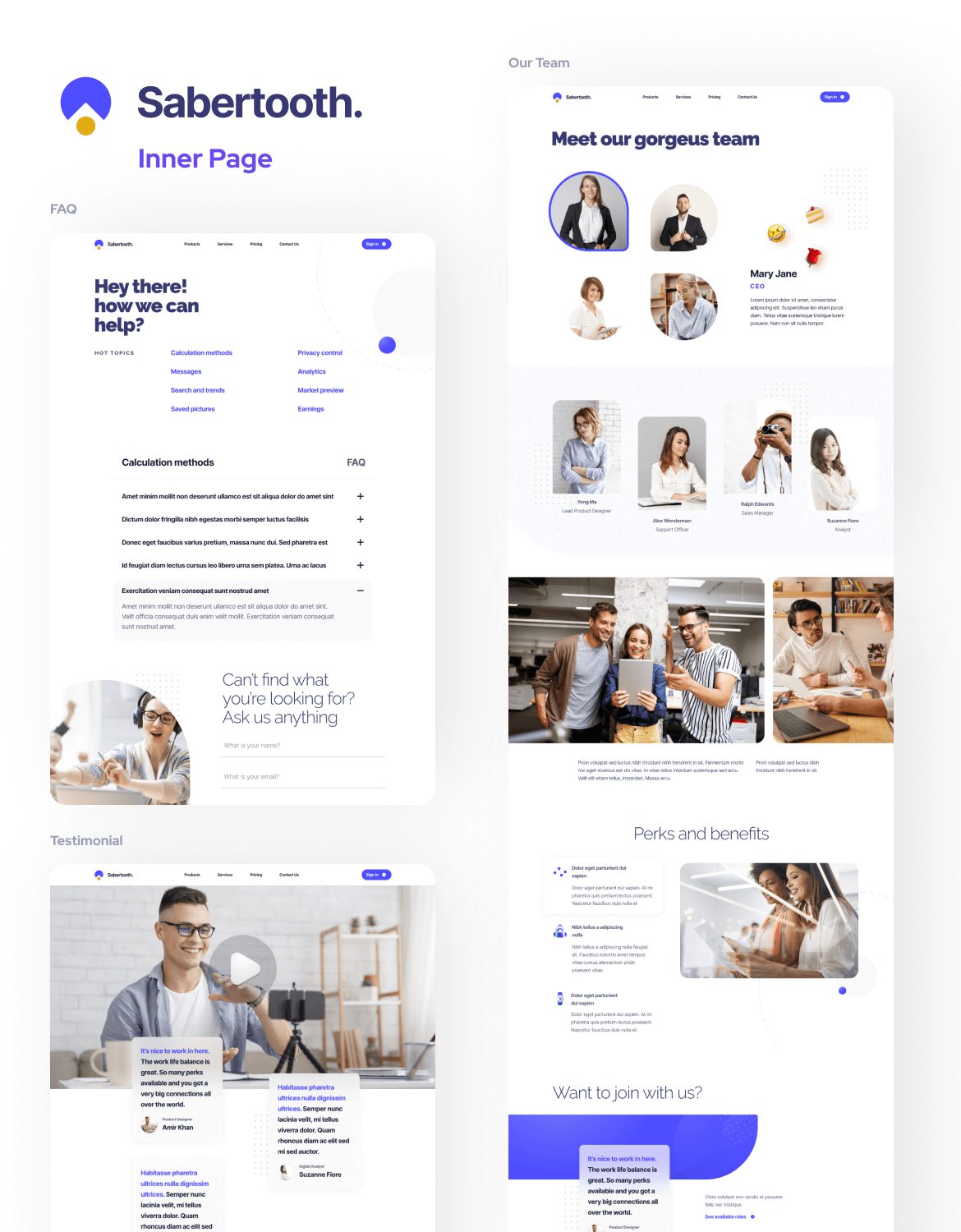 Sabertooth | Bussiness Service & Startup Web UI Kit for Figma - 3