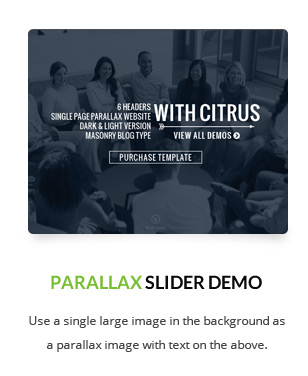 Citrus - One Page WordPress - 6