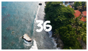 Brush Transitions - 36