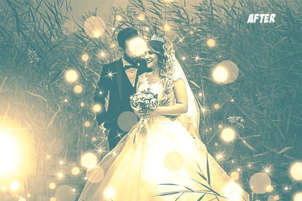 Animated Bokeh Lights Photoshop Action - 2