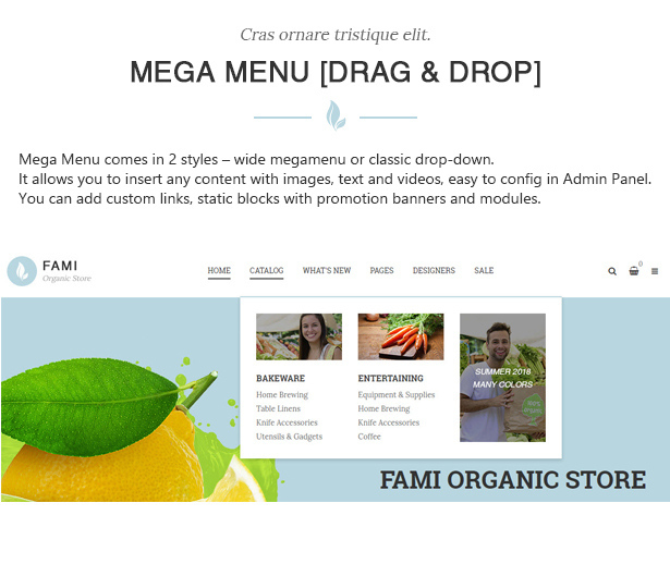 des_06_megamenu