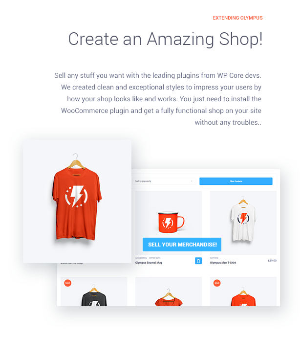 Create outstanding shop