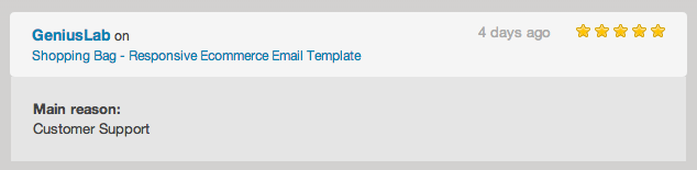 Shopping Bag - Responsive Ecommerce Email Template - 1