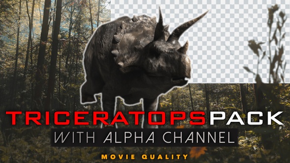 inline_image_preview